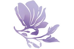 Magiray logo, Magnolia